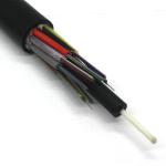 Frp 24 36 48 96 144 Core Fiber Optic Cable Gyfty Outdoor Single Mode G652d Fibre