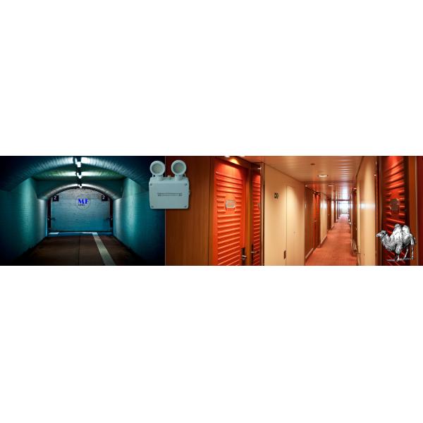 Emergency Exit LED Light IP65 Waterproof Dual Head 3h Backup Adjustable 6000K White ABS Housing for Indoor Use