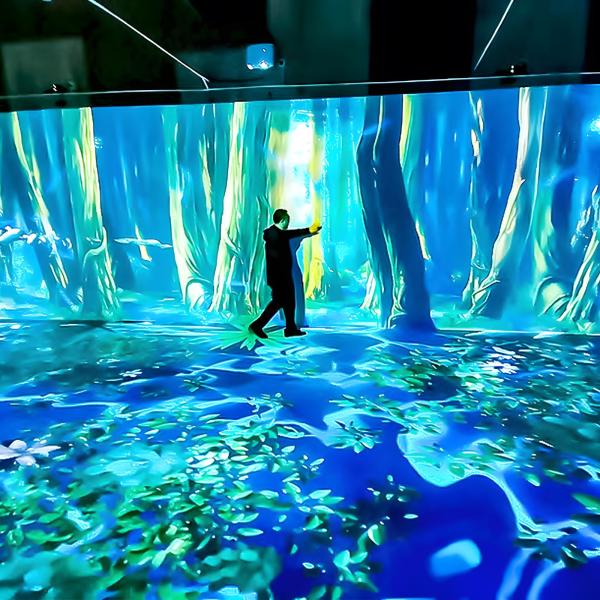 Immersive Experiences 360-Degree Immersive Cave Projection Interactive Digital