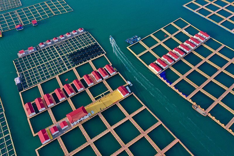 HDPE Leisure Net Cage for Deep Sea Aquaculture