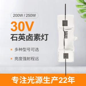 Wholesale 30V 200W Small Halogen Display Optic Lamp 250W Quartz Halogen Bulb from china suppliers