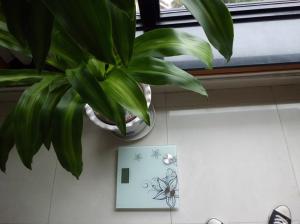 Wholesale Backlight Digital Body Fat Scales / calorie scale / muscles scale from china suppliers