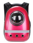 Pet Space Backpack；Pet supplies package；Pet Food, Pet Rope, Pet Comb，a variety