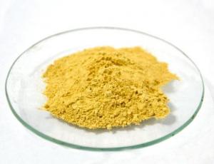 Wholesale Health Care Fenugreek Seed Extract from china suppliers