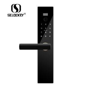 Wholesale Fingerprint Titanium Alloy Keyless Anti Theft Smart WIFI Door Lock from china suppliers