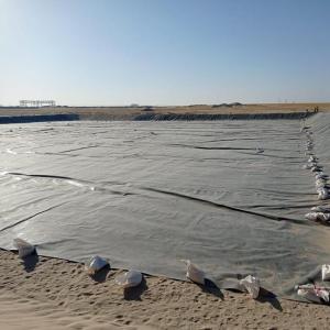 Wholesale HDPE Geomembrane for Fish Shrimp Pond in Indonesia 1mm Thickness Durable Material from china suppliers