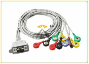 Wholesale Gray 10 Lead ECG Electrode Cable Holter DMS 300 Series With Leadwires Snap IEC from china suppliers