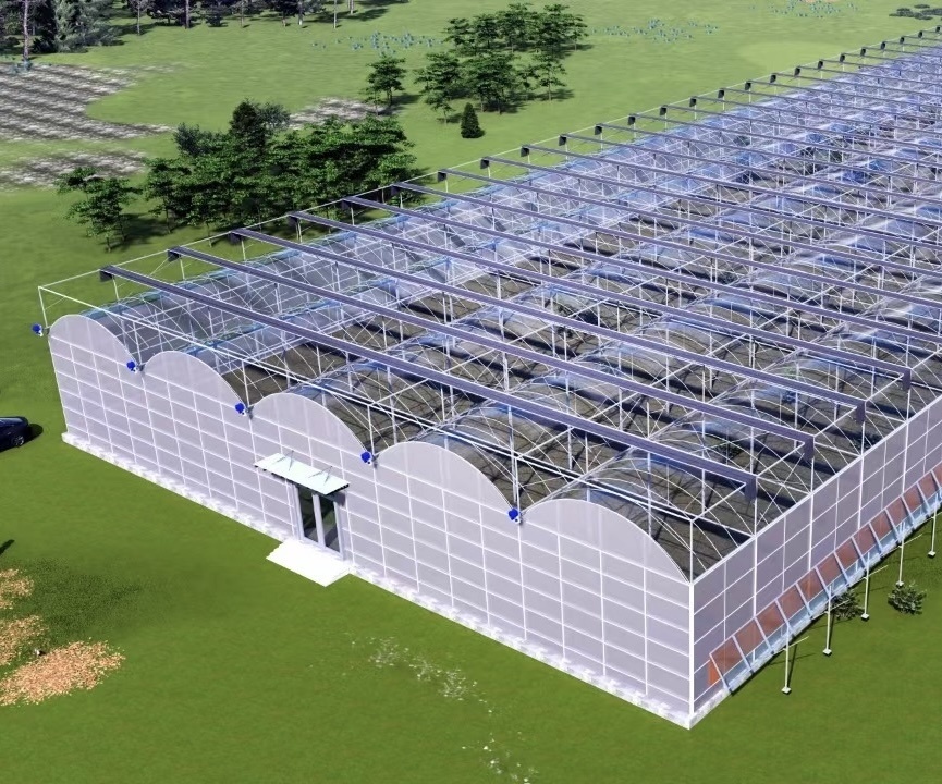 Venlo Multi Span Greenhouse