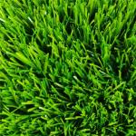 Colorful Artificial Grass Mat Turf Lawn For Golf / Football / Kindergarten
