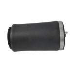 37126750355 37126750356 Rear Air Suspension Spring For BMW X5 E53 2000-2006 Air