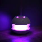 Professional Night Light Colorful Portable Air Humidifier for Car and Home Oil