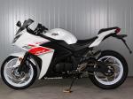 Gas Motor Street Sport Motorcycles , 250cc Cool Sport Bikes / Street Bikes White