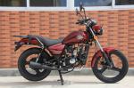 Horizontal Cruiser Chopper Motorcycle 4 Stroke Roud Light Full Chain Cover 110cc