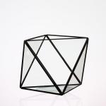 Mini Metal Tabletop Geometric Air Plant Holder , Himmeli Decor Glass Air Plant