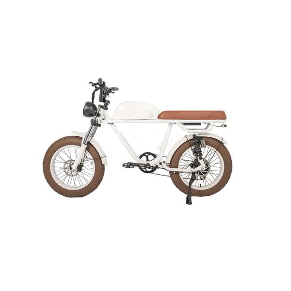 Retro Vintage E-Bike with 500W Bafang Rear Hub Motor Electric Bike OEM
