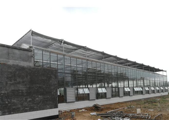 Beautiful Appearance Agricultural Glass Greenhouse Venlo Type For Exhibition
