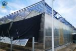 Commercial Agriculture Polycarbonate Sheet Greenhouse PC Sheet Greenhouse