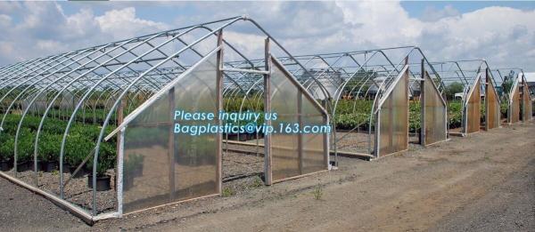 PE protective film customized green house for agriculture anti frost,Venlo Glass