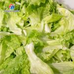 Automatic Bubble Vortex Fruit and Vegetable Vegetable Washing Machine