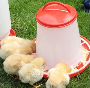 Wholesale Poultry Pan Bucket 3kg 6kg Plastic Chicken Feeder For Water Drinker from china suppliers