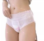 Waterproof Pantie Menstrual Physiological Pants Women Underwear with Non Woven