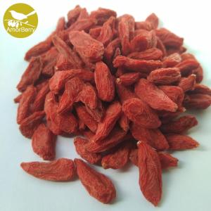 Wholesale Chinese High Quality Bulk Dried Goji Berry Factory Supply High Grade Dried Goji Berries Wolfberry from china suppliers