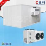 Seafood Fast Freezing Commercial Blast Freezer 150mm Thickness