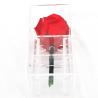 Buy cheap Beautiful Colorful Preserved Rose Flower For Home Indoor Decoration from wholesalers