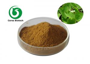 China Medical Food Grade Epimedium Extract Powder Flavone 5% For Enhancing Male Sexuality on sale