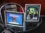 Commercial 10mm 200x287mm A4 Acrylic Led Light Box