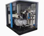 High/Low Pressure Oil-Free Air Compressor Single Screw Direct-Driven 1-Year