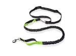 Retractable Hands Free Dog Training Leash Dual Handle Bungee Waist Harness Nylon