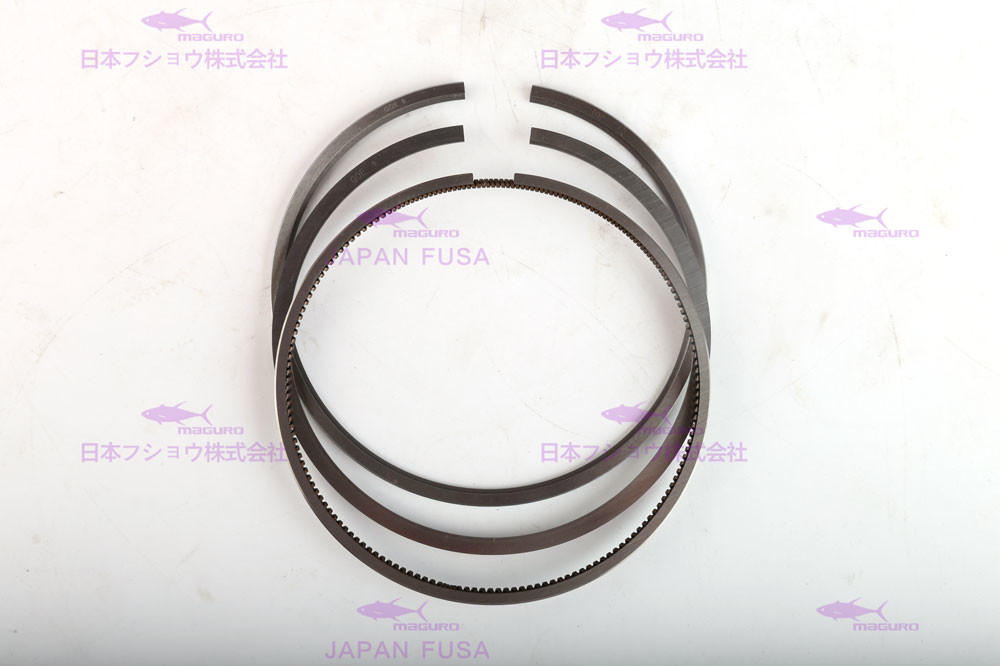 1013 Steel Piston Rings 21299547 For Engineering Machinery