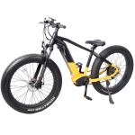 Electric Mountain Bike High Power 1000W Bafang Dual Motor and Rear Drive Speed
