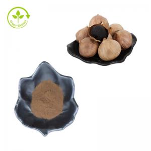 China Black Garlic Powder Wholesale Bulk Water Soluble Natural Black Garlic Extract on sale