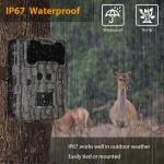 Hot-sale Animal camera Fast Trigger Dual lens Full HD photo and video CE FCC