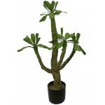 China Height 100cm Artificial Landscape Trees Pachypodium Lamerei Drake Indoor Decor for sale