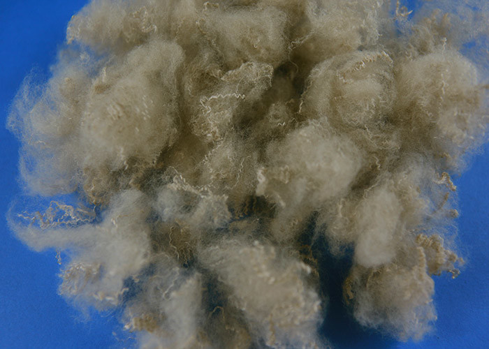 3D*51MM Hollow Conjugated Siliconized Polyester Fiber For Filling Jacket