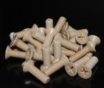Countersunk Head Peek Screw Fastener