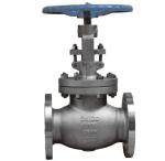 Stainless Steel Cryogenic Globe Valve Extended Stem And Others For Industrial