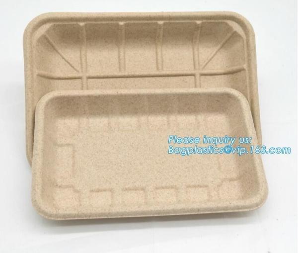 Biodegradable & Compostable 8 inchSquare sugarcane trays,sugarcane pulp