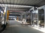 Automatic Multifunction Blanched Peanut Production Line CE ISO9001 Certification