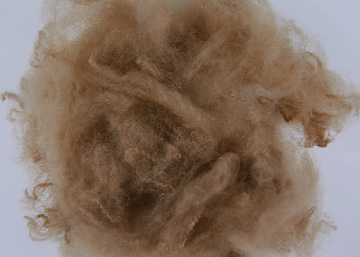 Dope Dyed Coffee Color Polyester Staple Fiber 1.5D*38MM Recycled