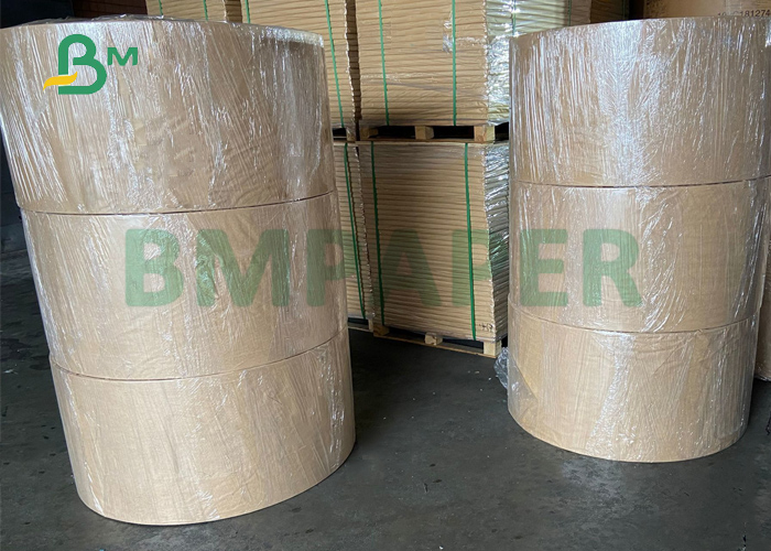 Waterproof 300gsm + 20gPE White Lunch Boxes Paper For Food Industry 20.5'' 