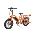 Model Electric Cargo Bike for Adults Max Speed 30-50Km/h Rated Passenger