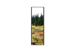 35.5 inch Stretched Bar Lcd Display Ultrawide Monitor Ultra-Wide Stretched Bar