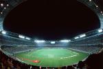 100W Fin Floodlight(IP65)