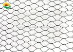 2 inch Hexagonal Wire Netting Fence Hardware Cloth 150 feet Length