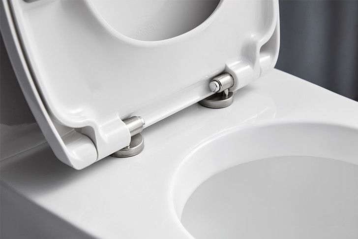 Sanitary Ware One Piece Toilets , Soft Closed Dual Flush S Trap Wc