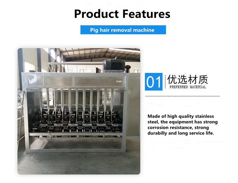 3kw Poultry Slaughterhouse Equipment